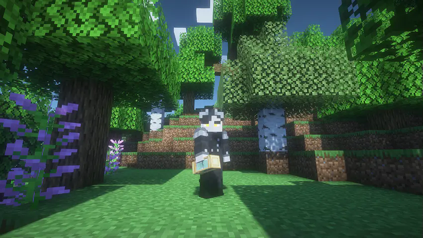 In game look