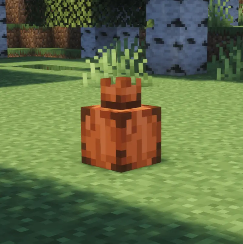 Pocket Dimension in the Overworld