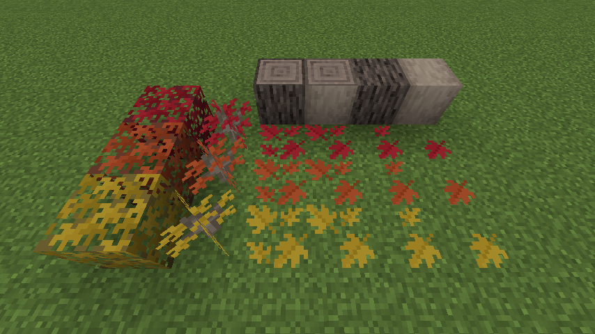 Maple Sapling & Maple Leaves
