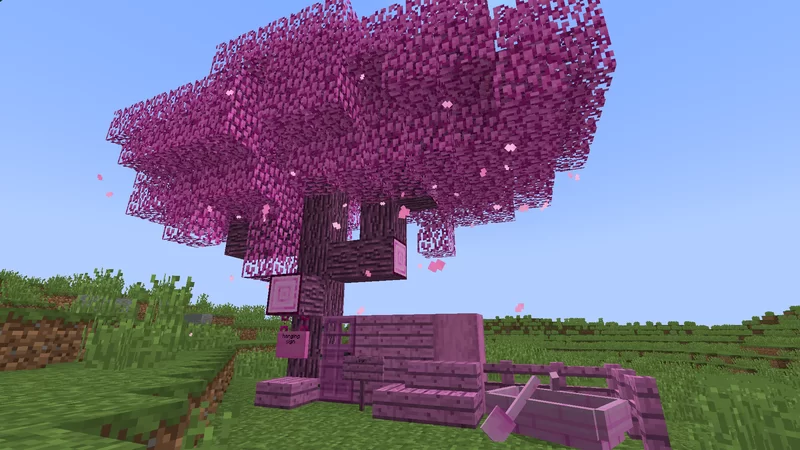Cherry tree