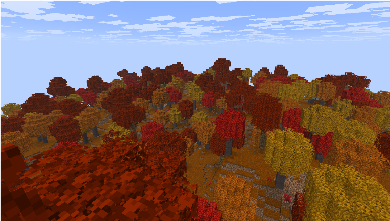 dappled forest aerial view