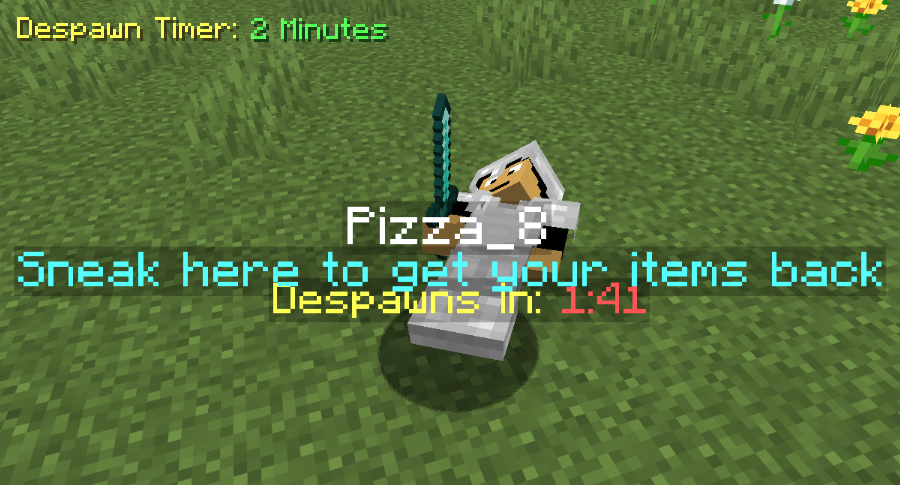 Despawn Timer
