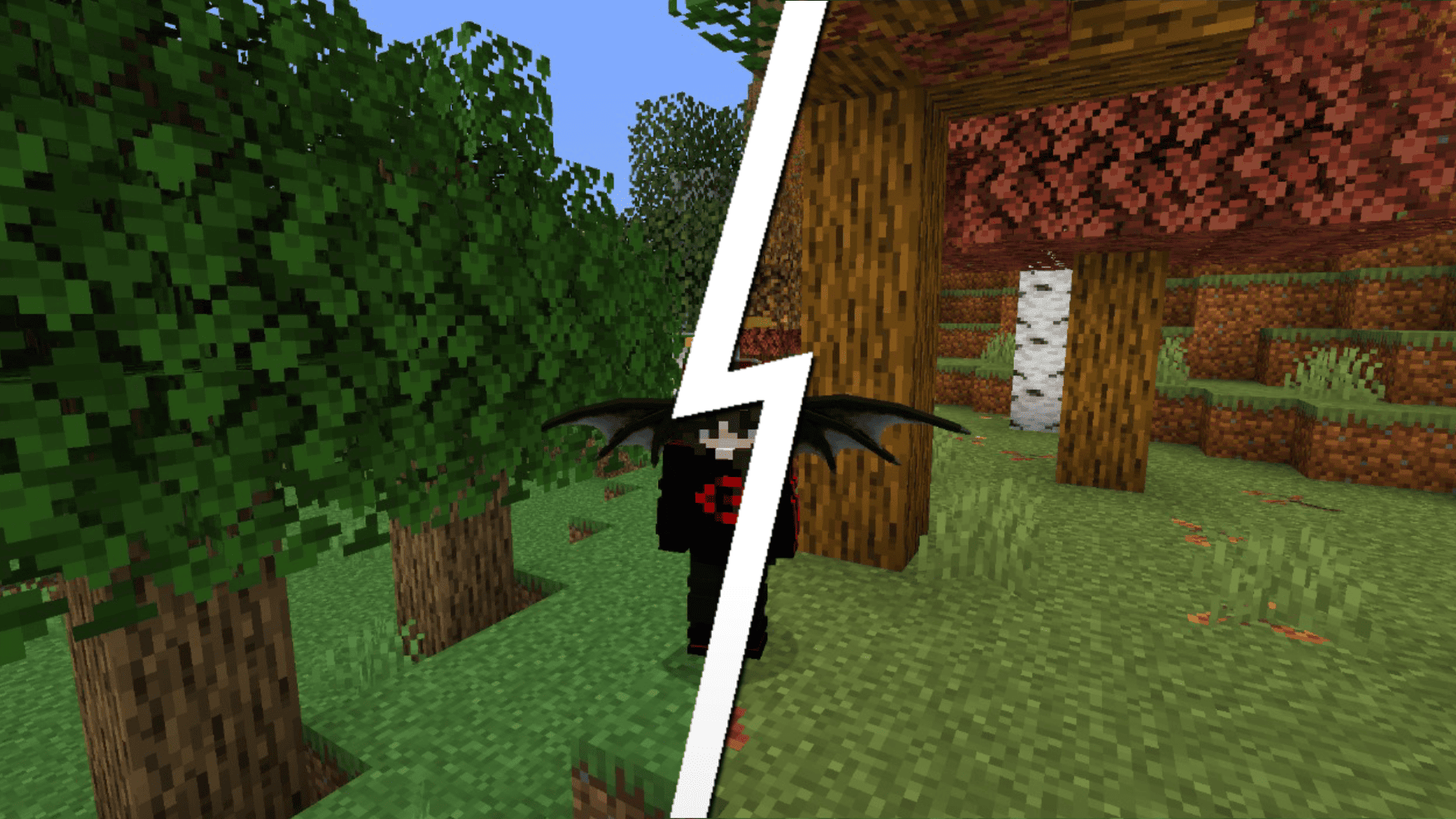 Before/After