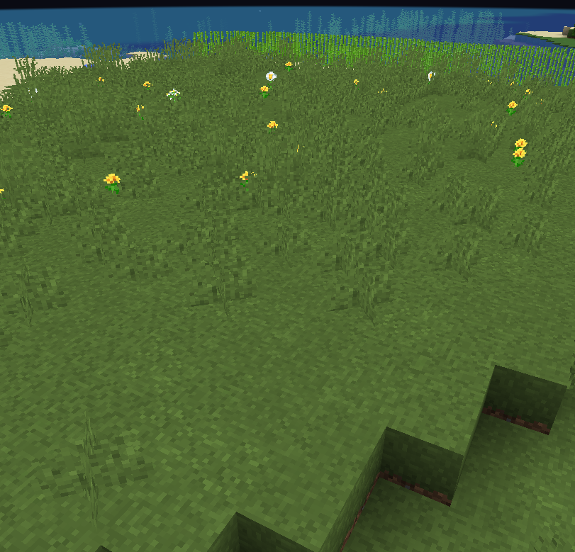 New grass