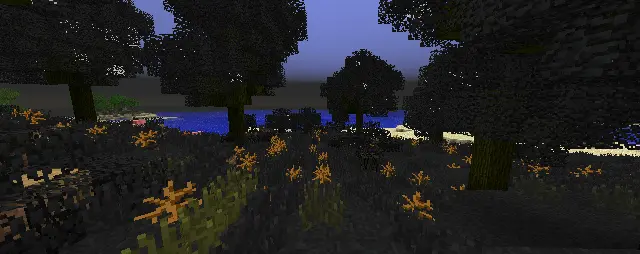 Practically black forest covered in grass and dead shrubs