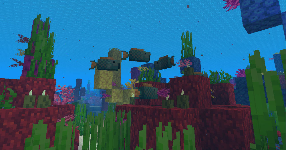 parrotfish0