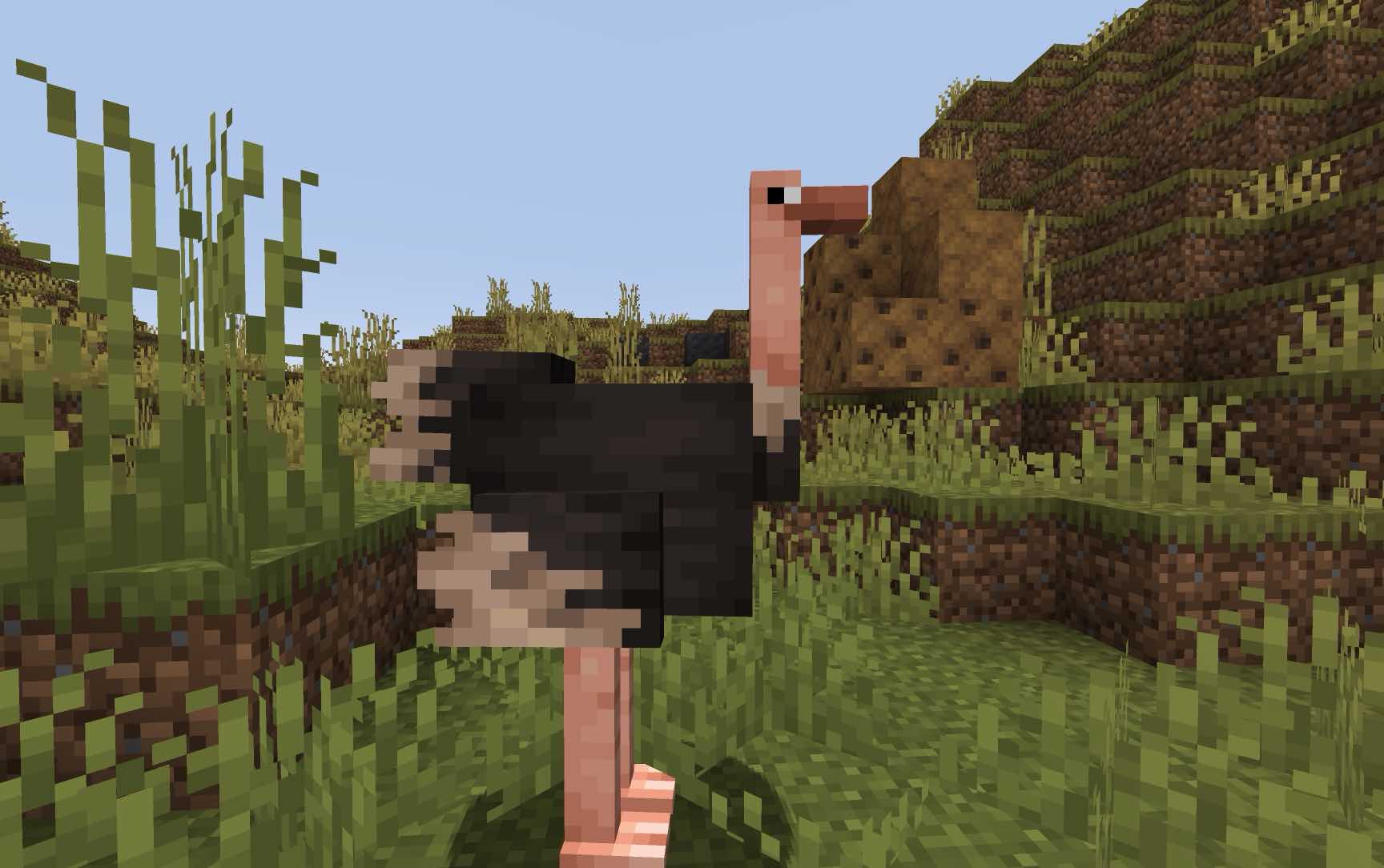 A Minecraft ostrich