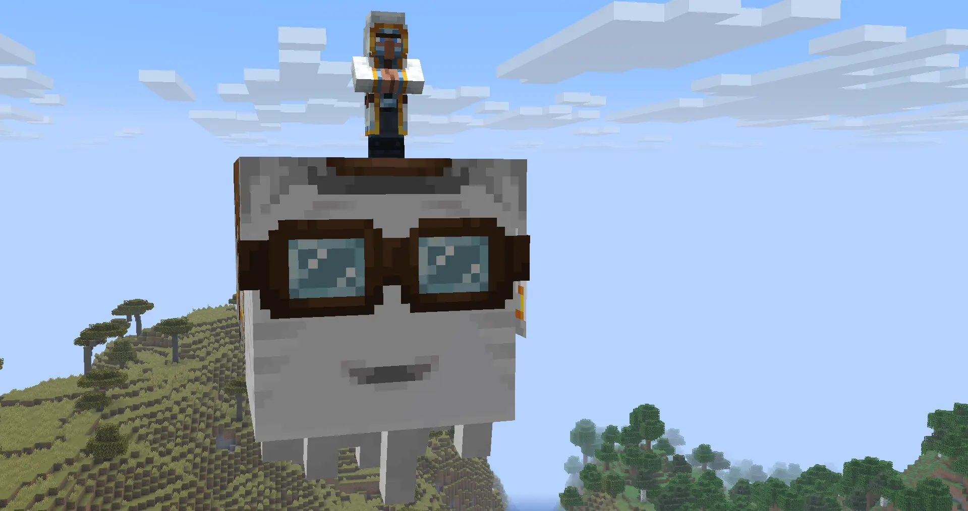 The Sky Trader