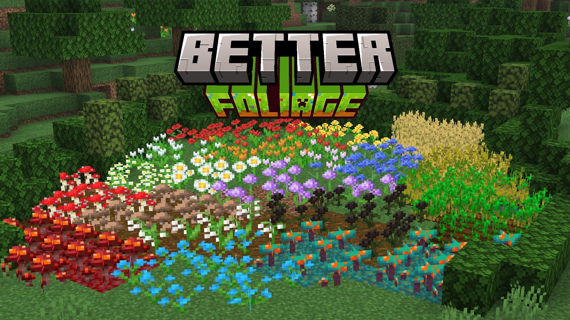 Better Foliage