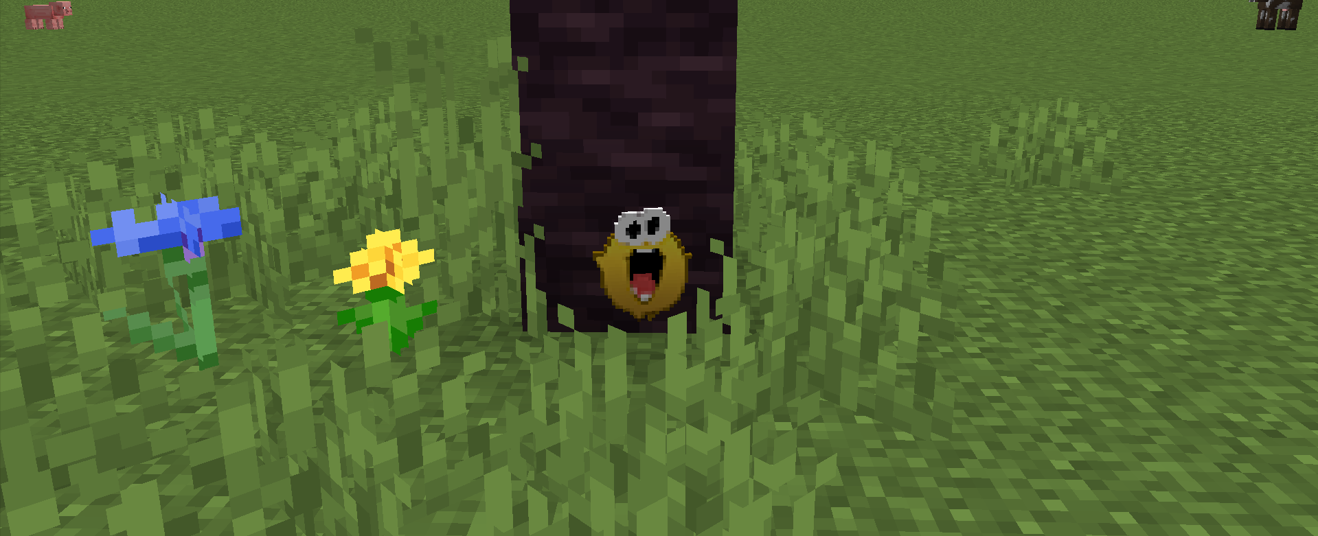 yippe