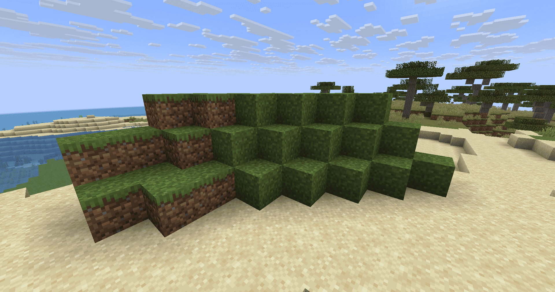 Dense grass next to normal grass, in a desert biome