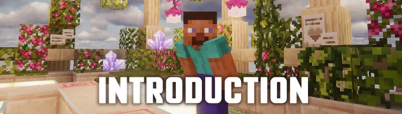 Introduction