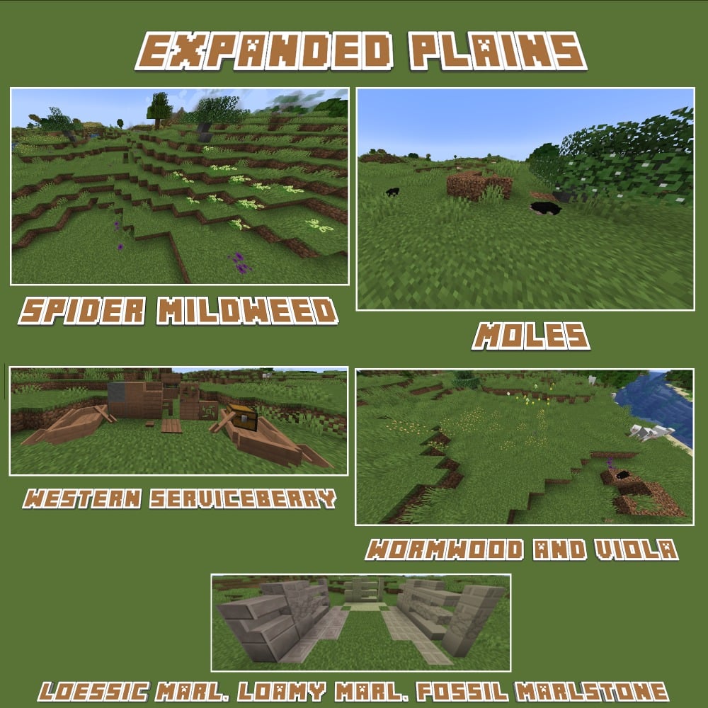 Expanded Plains