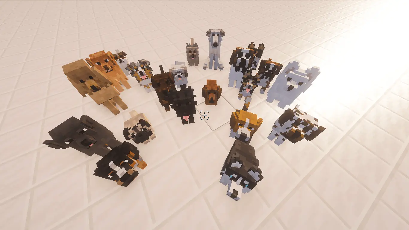 Dogs from Better Dogs