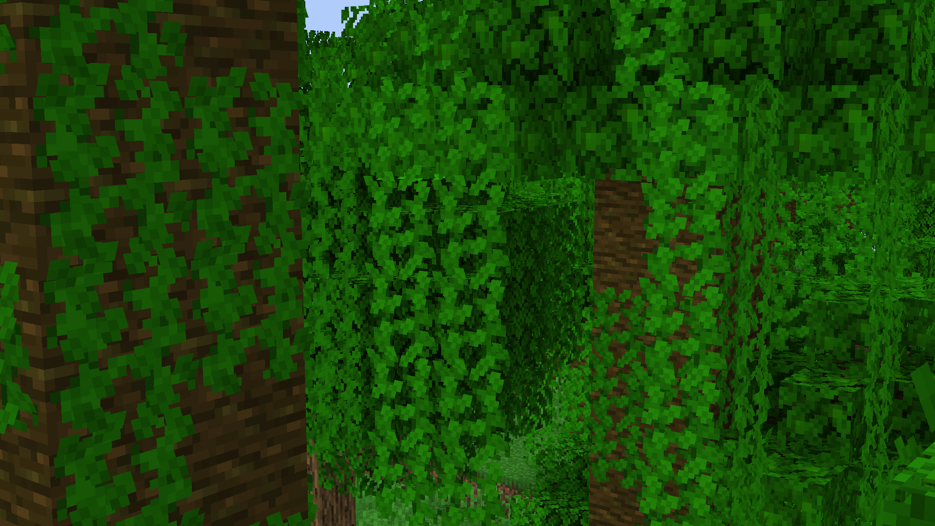 Jungle, with resourcepack