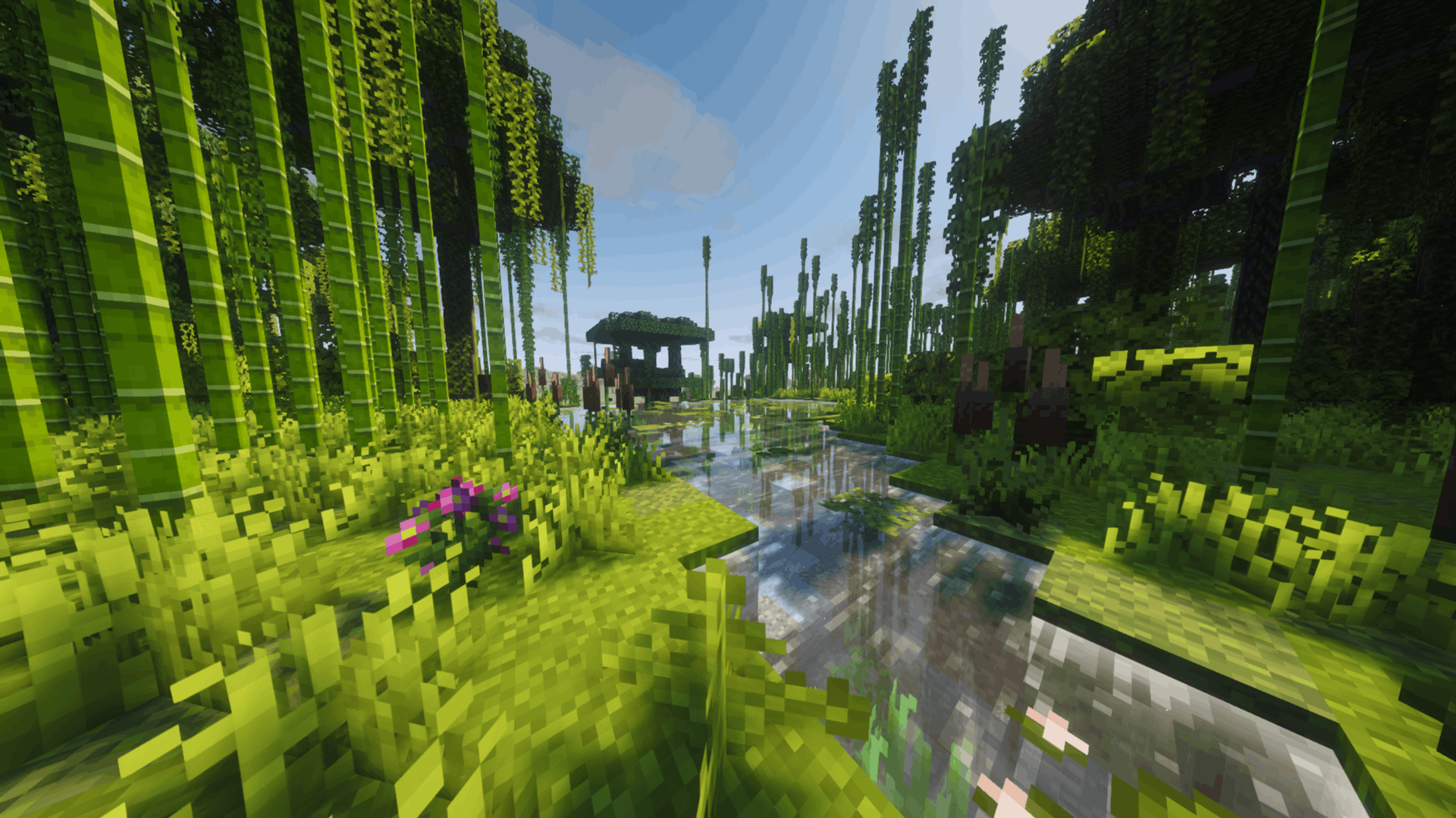 Exploring