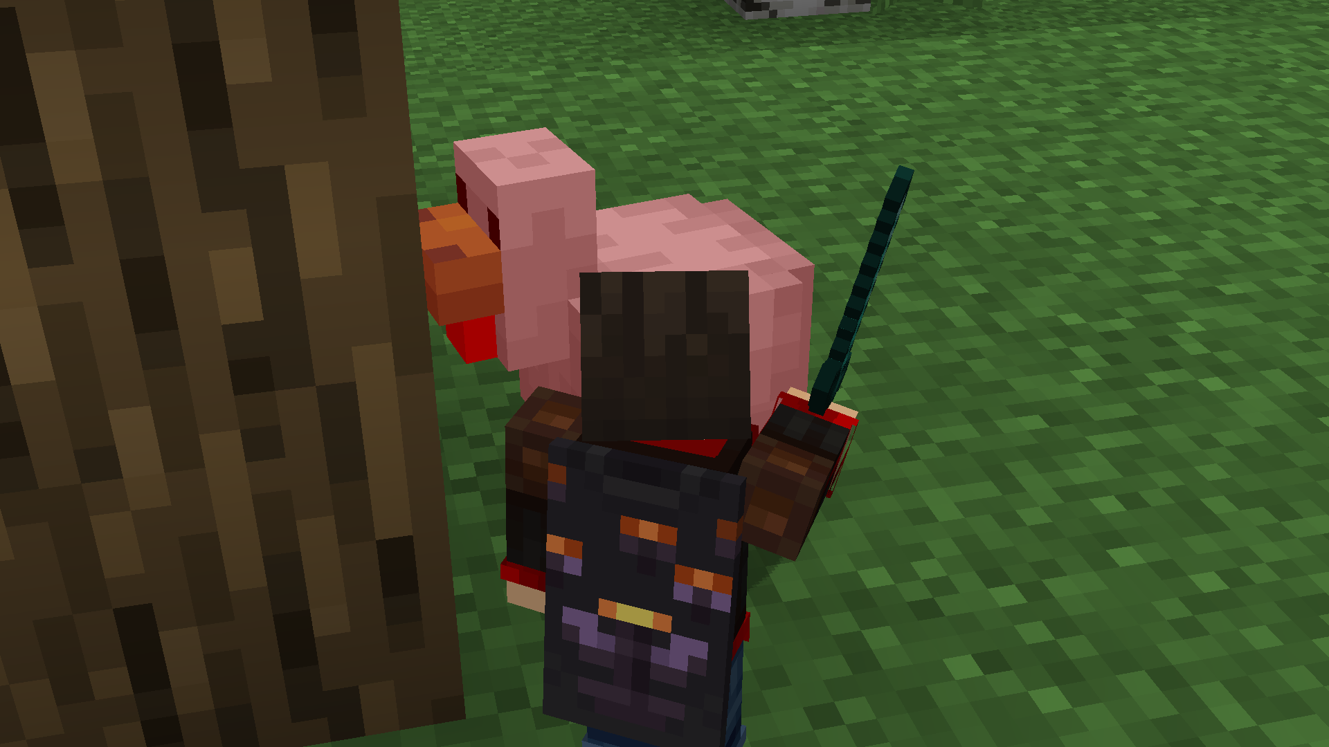 Player killing a chicken, making him shrink!