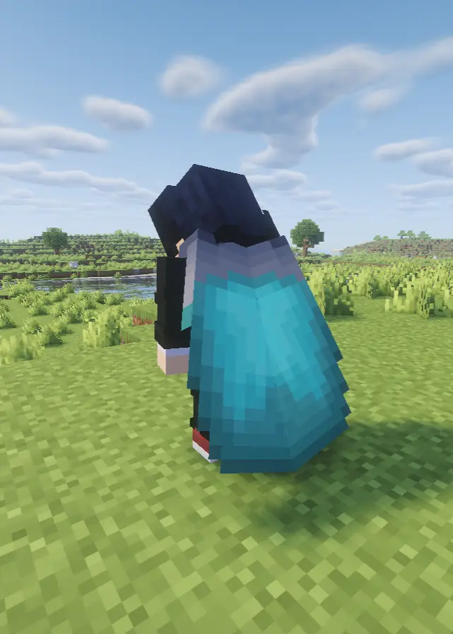 Example of Elytra in game Model