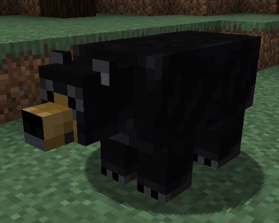 A black bear standing in the woods.