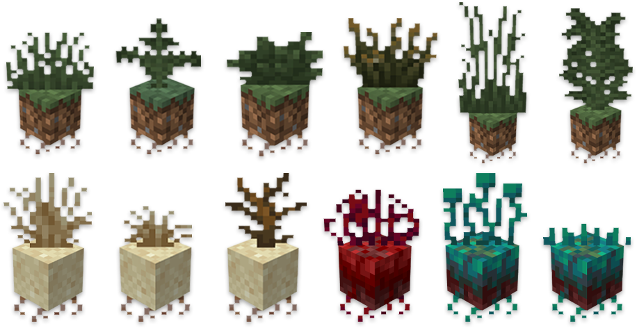 flowers and plants 2