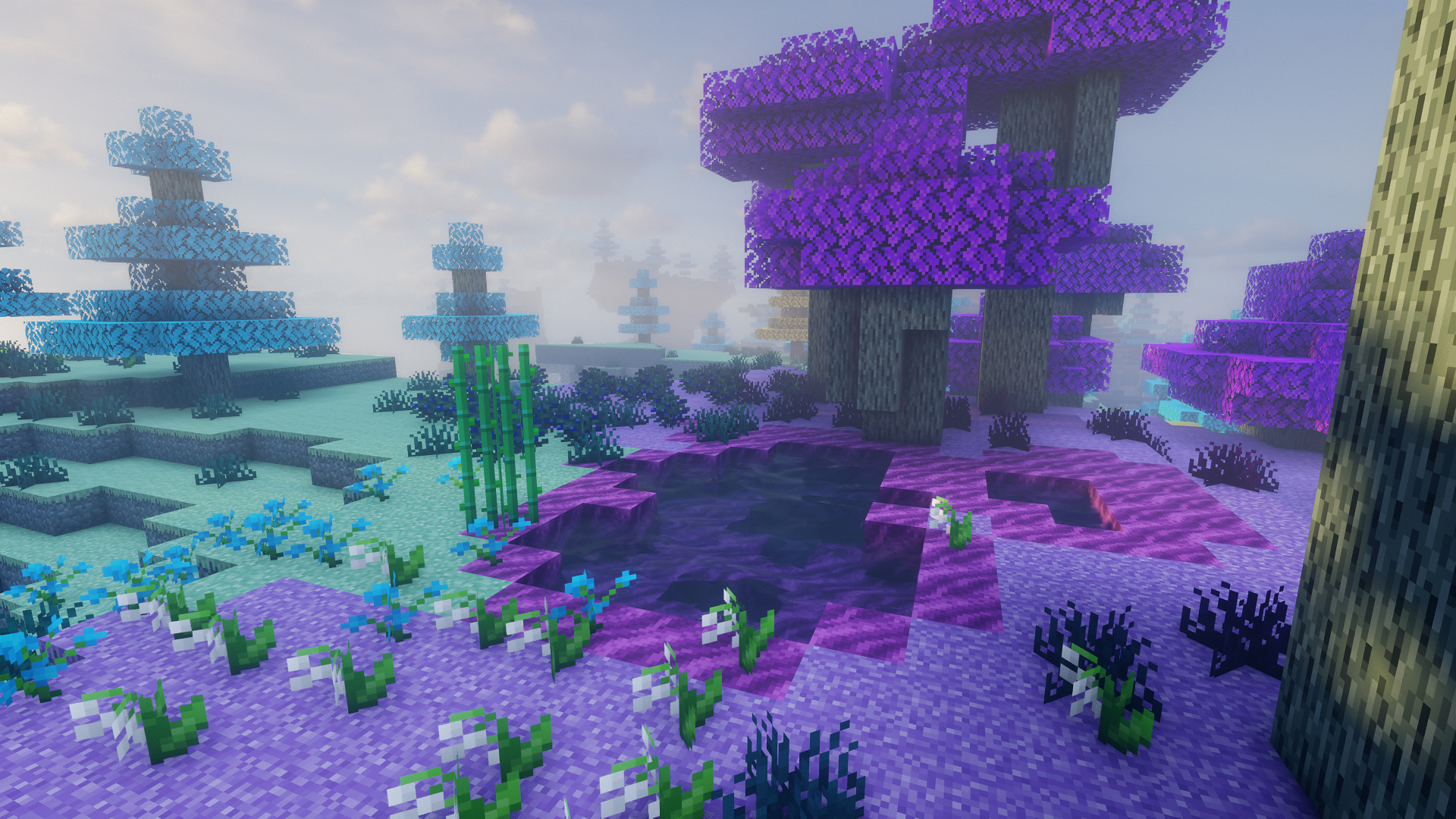The new Biomes