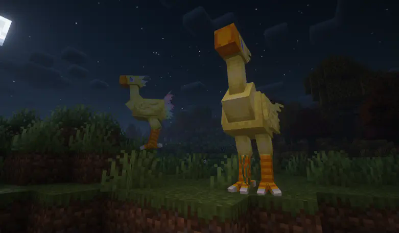 chocobos
