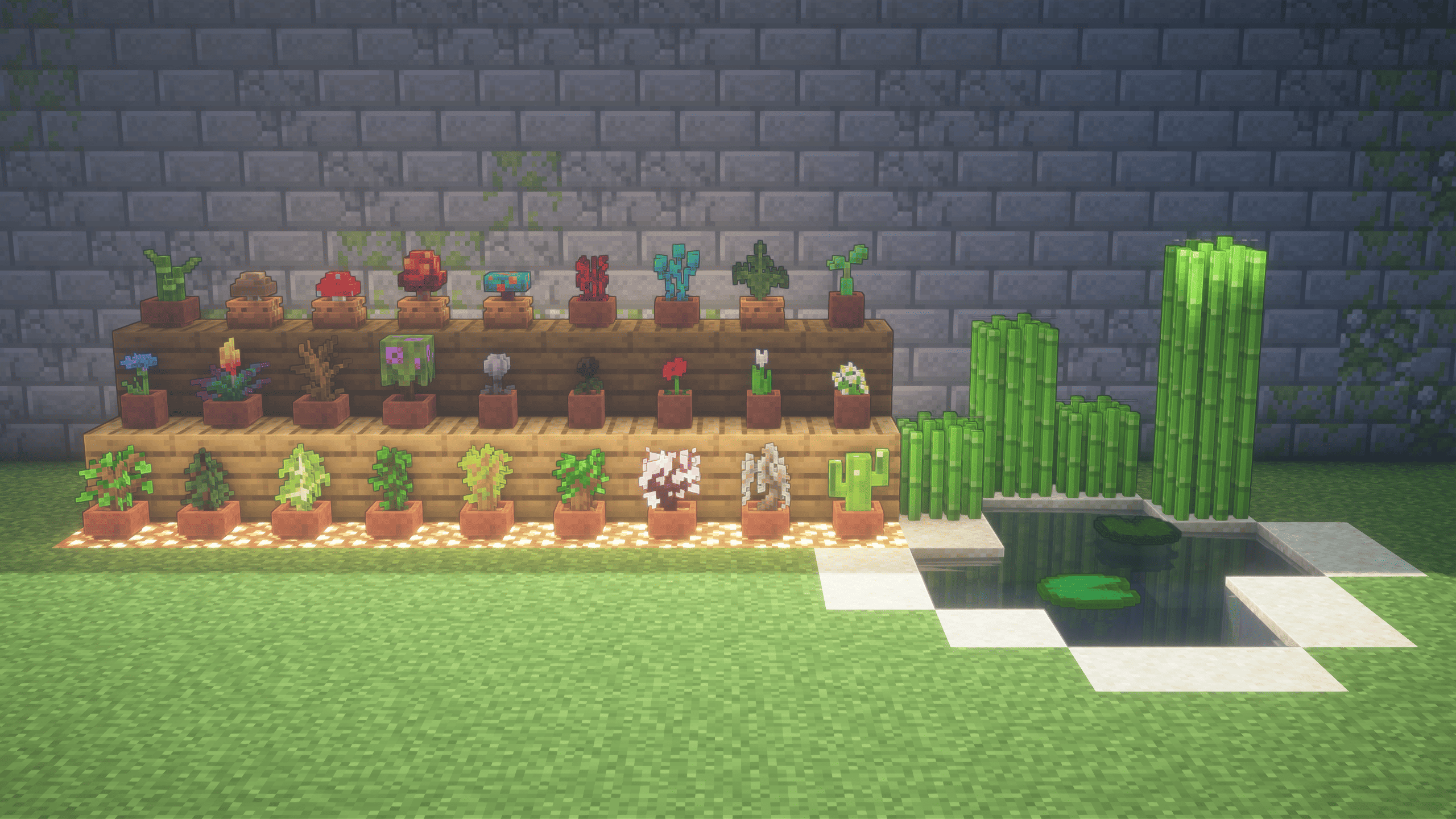 Pots & Plants