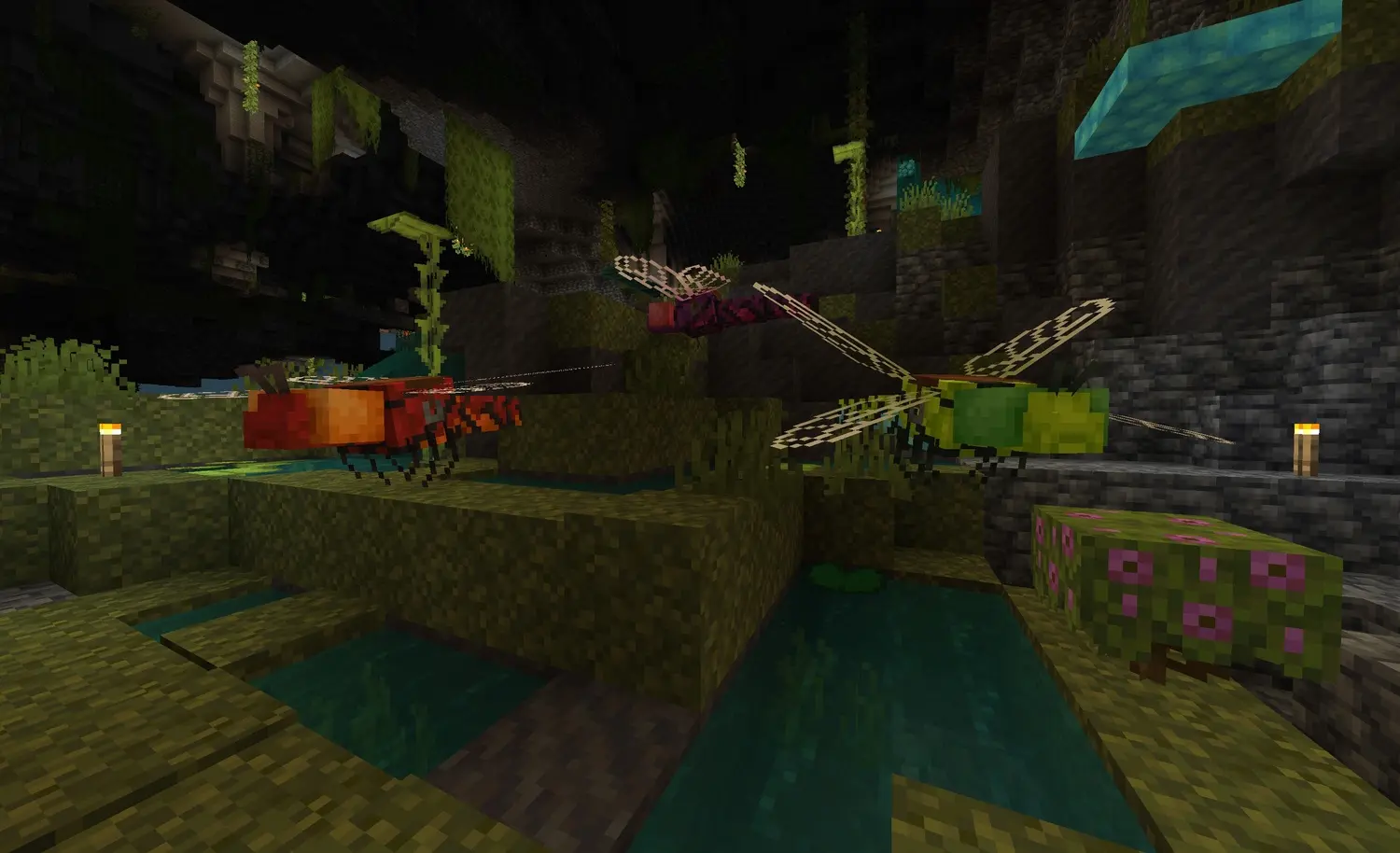 Dragonfly color variants