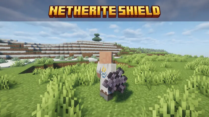 Netherite Shield