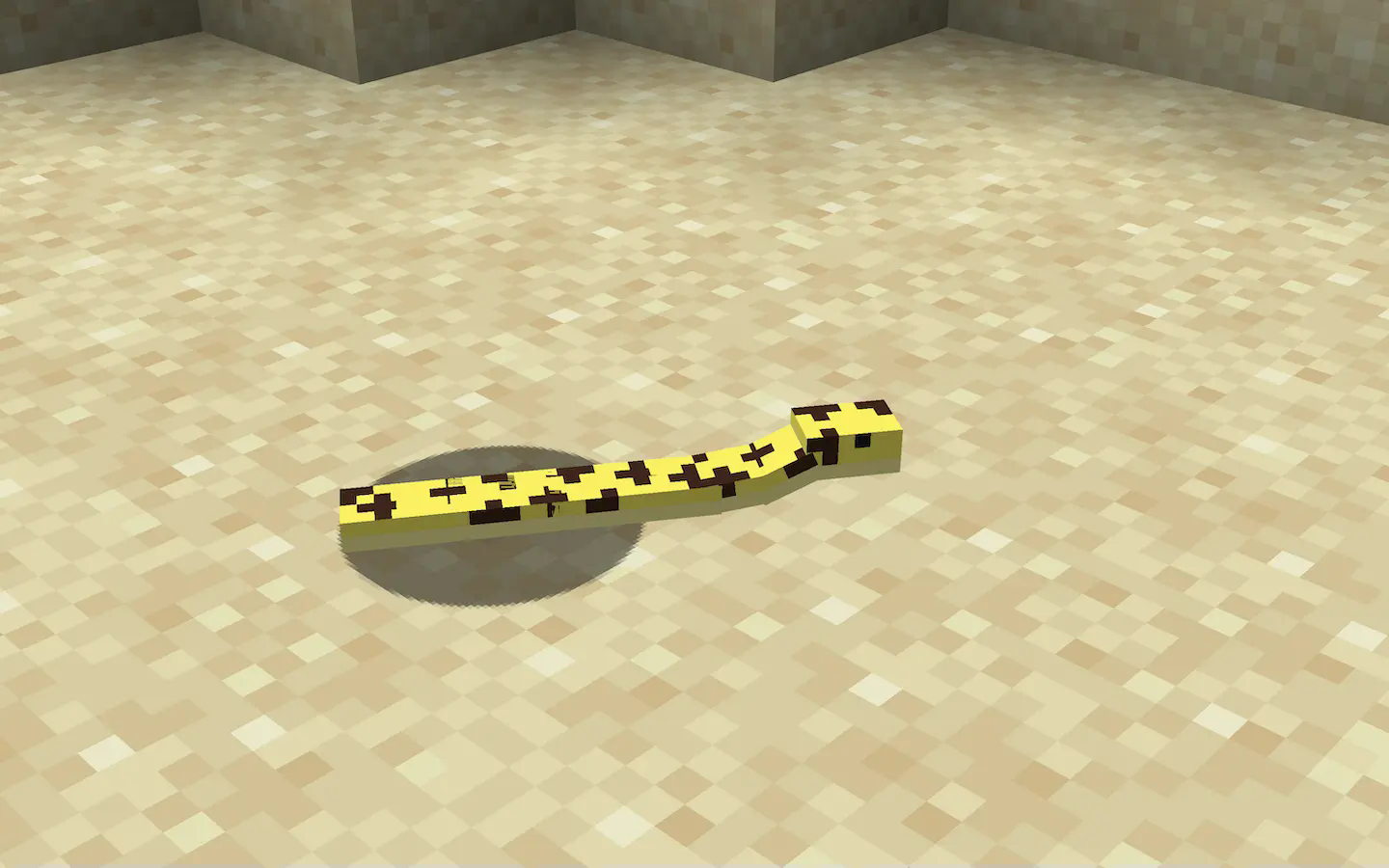 The desert snake in its natural habitat.