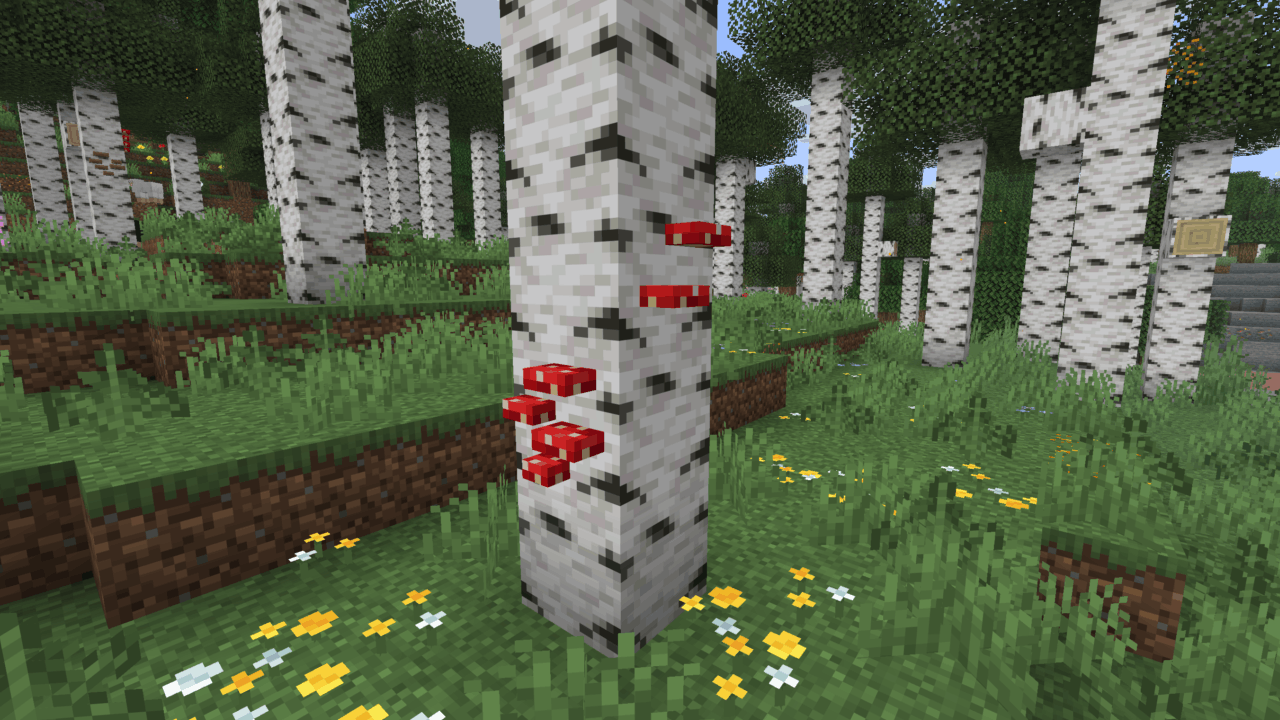 Deeper Wilds Minecraft Resource Pack Deeper Wilds Minecraft Resource Pack