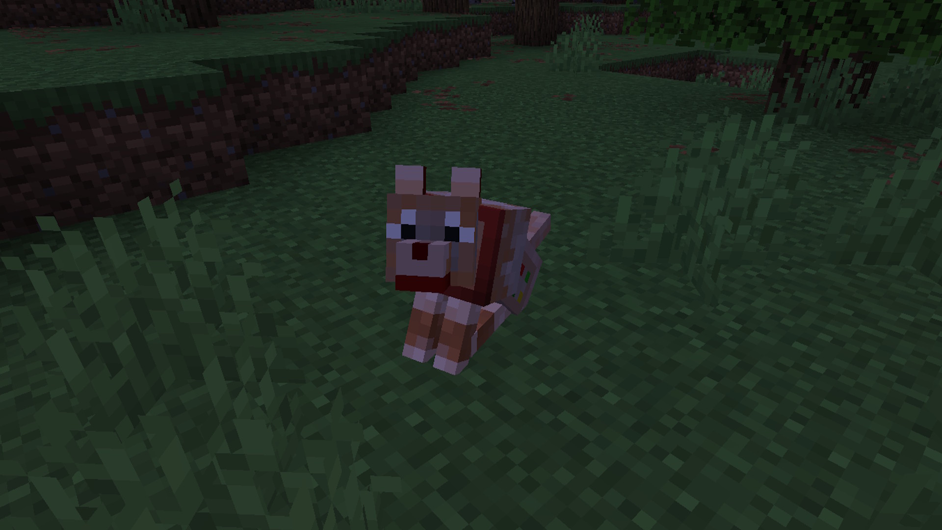 When a wolf spawns naturally in a forest biome, it has a 50% chance of being a Comandiu.