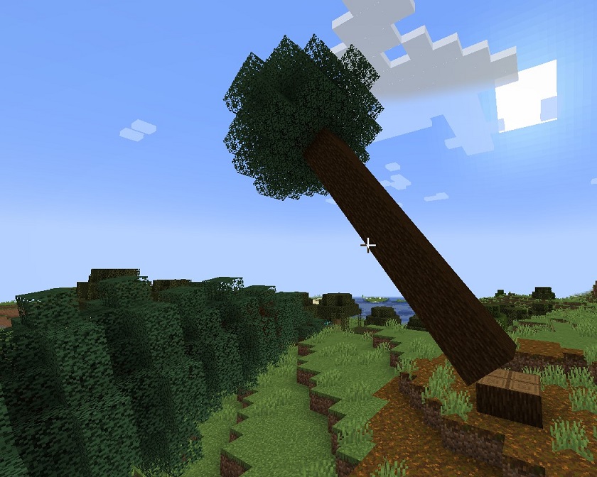 Falling Spruce Tree