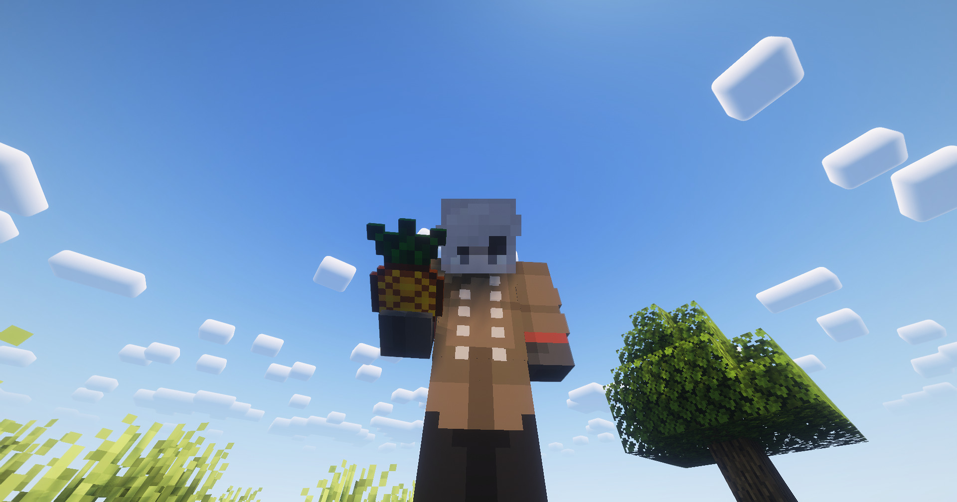 Pineapple in hand