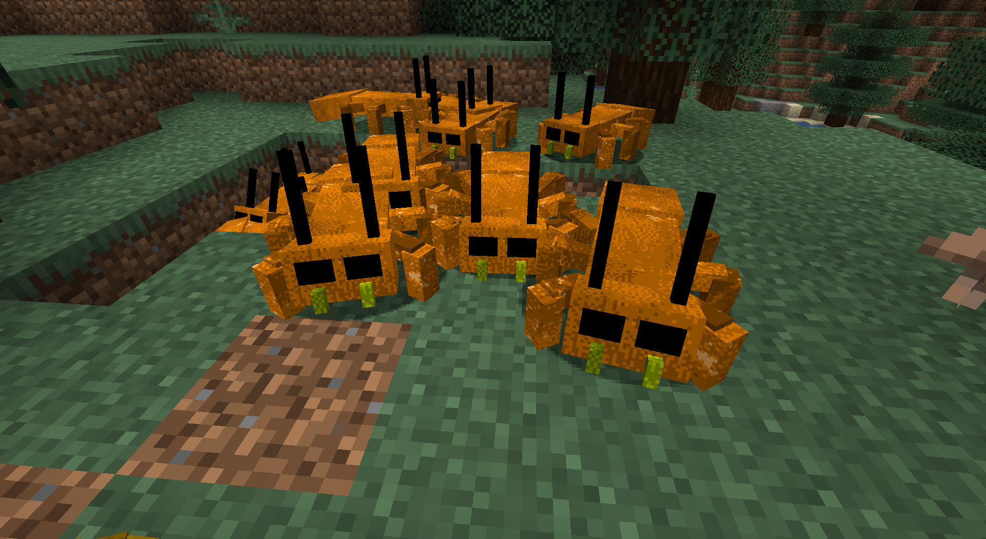 stupid bugs
