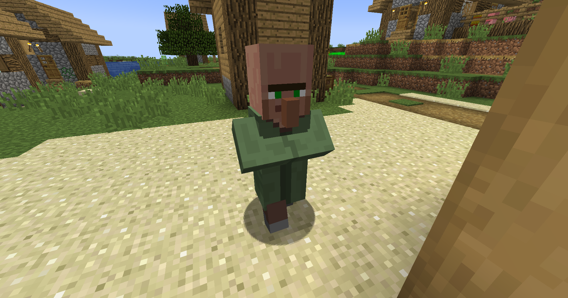 Nitwit Villager
