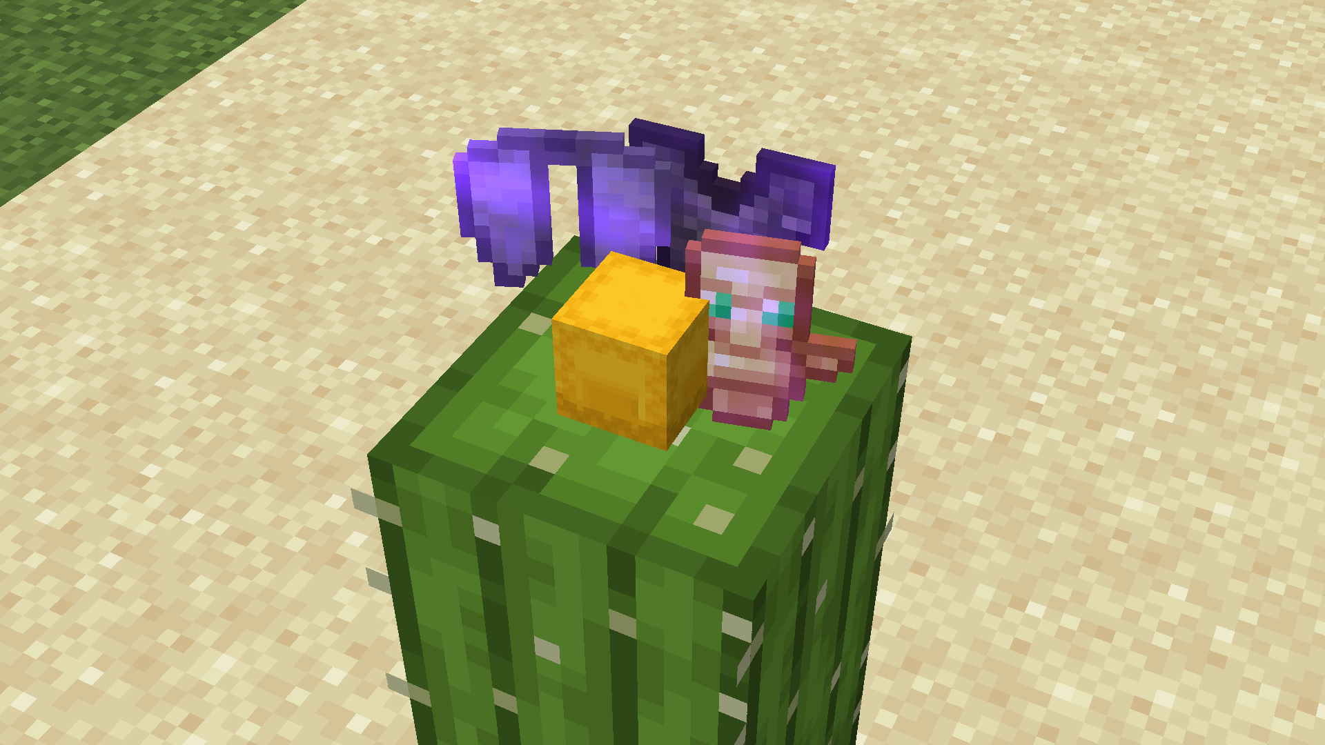 Cactus Protection