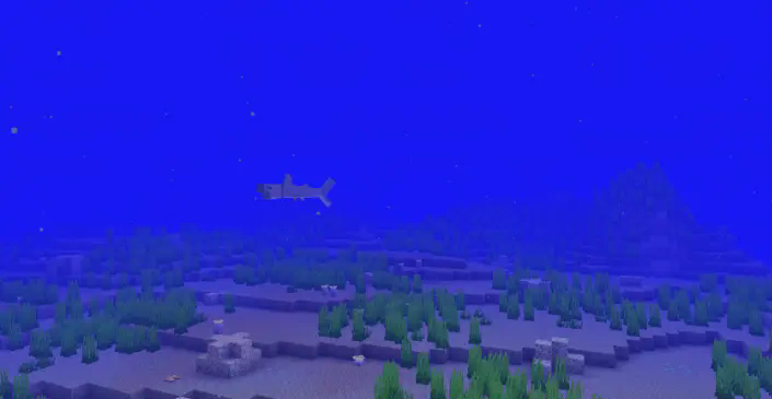 open sea