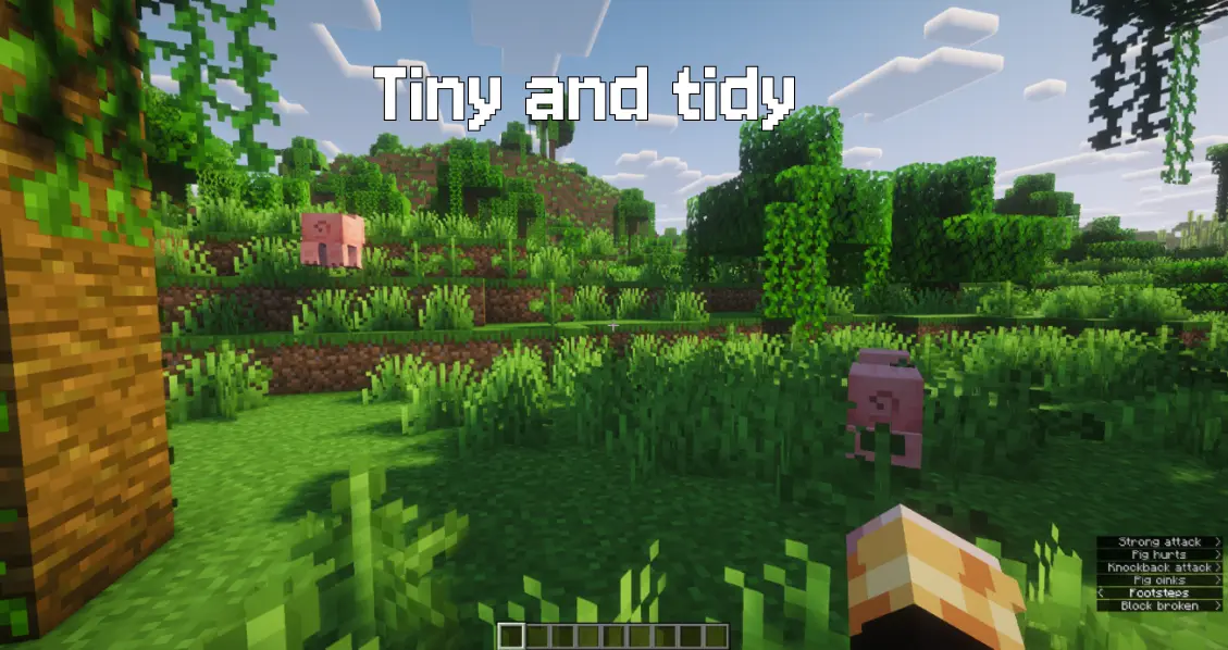 Tiny and tidy