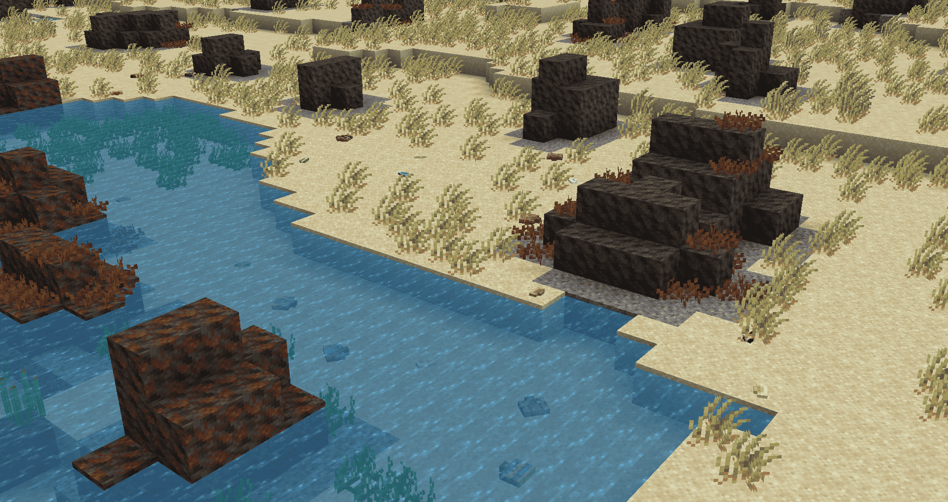 ROCKY BEACH