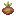 unripe pitcher