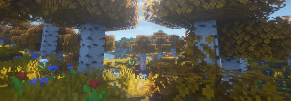 Current Look of the Autumn Biome