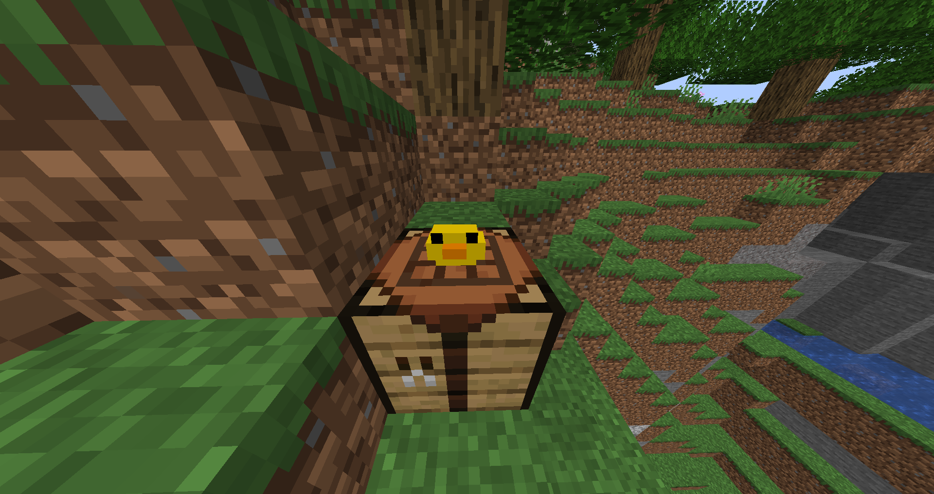 Rubber Ducky in Game