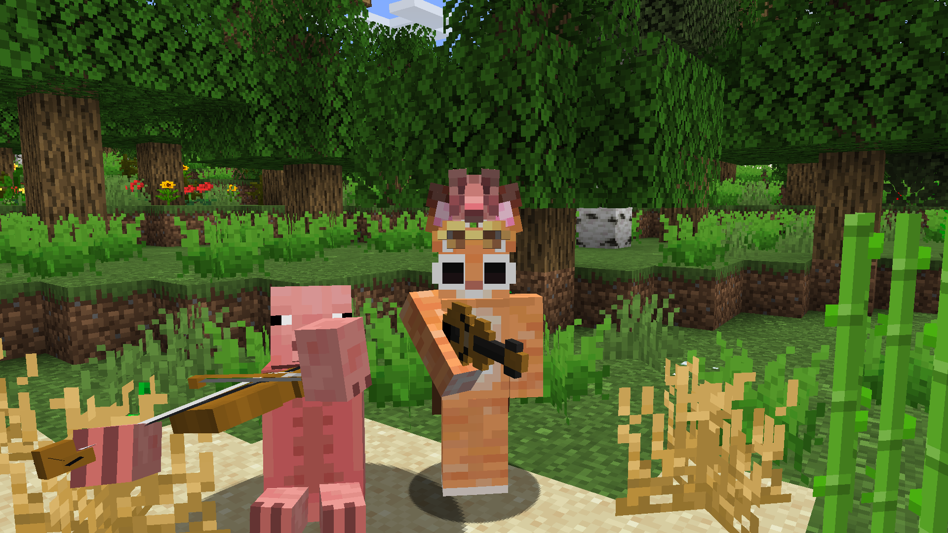 Me playing with pig