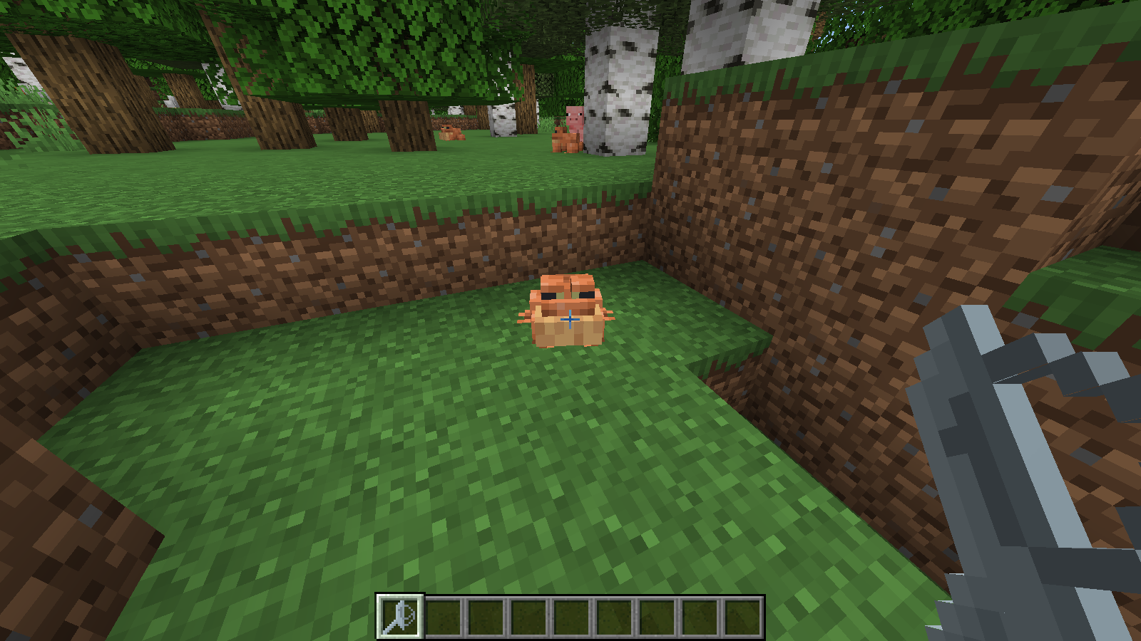 The Frog Holder item being held while looking at a frog.