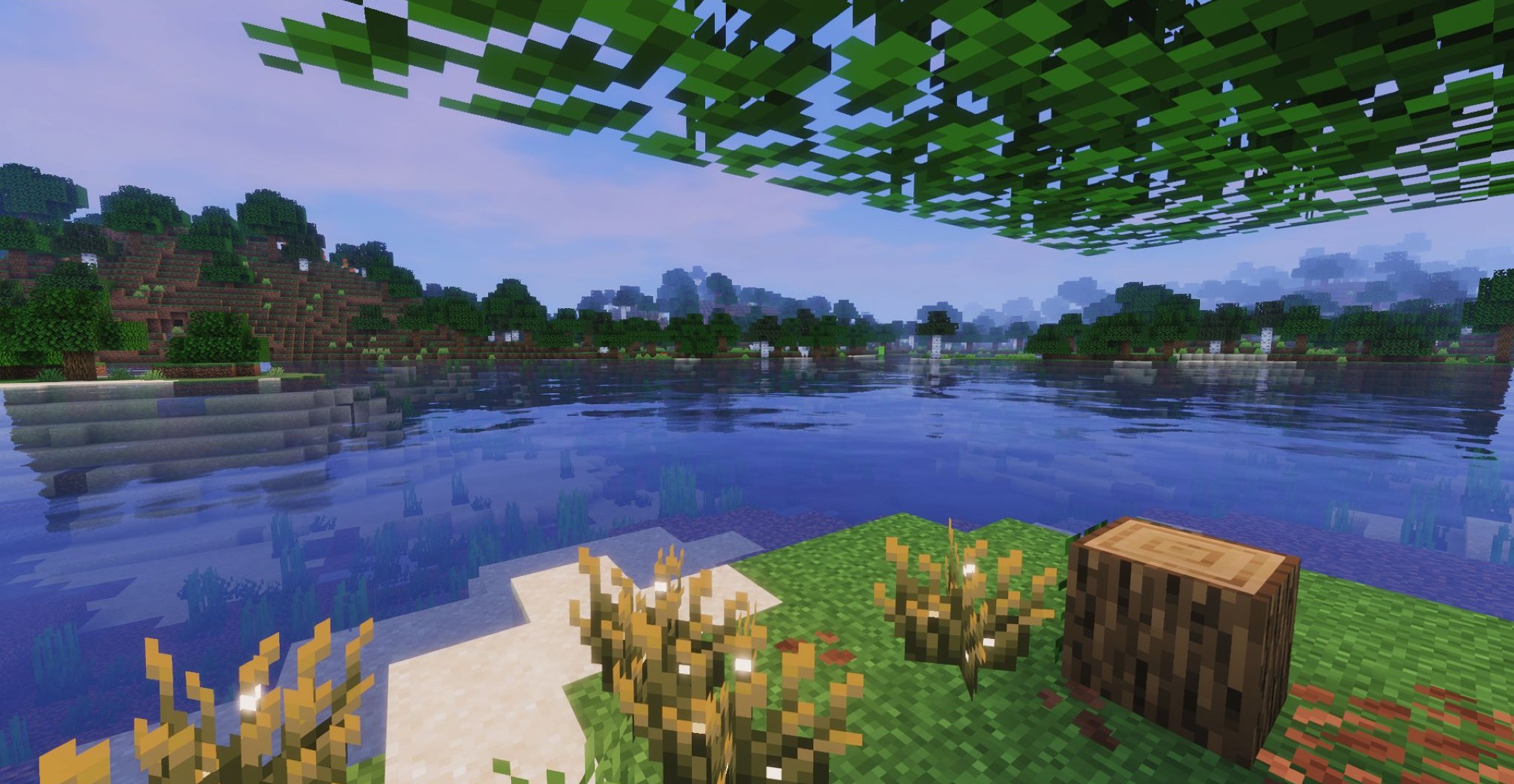 Image of Shaders