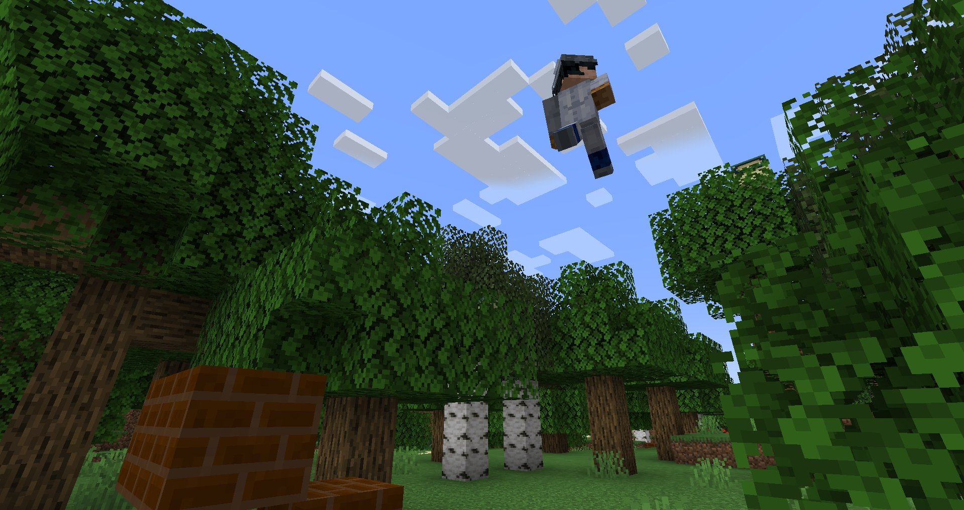 inspectorgadget flying
