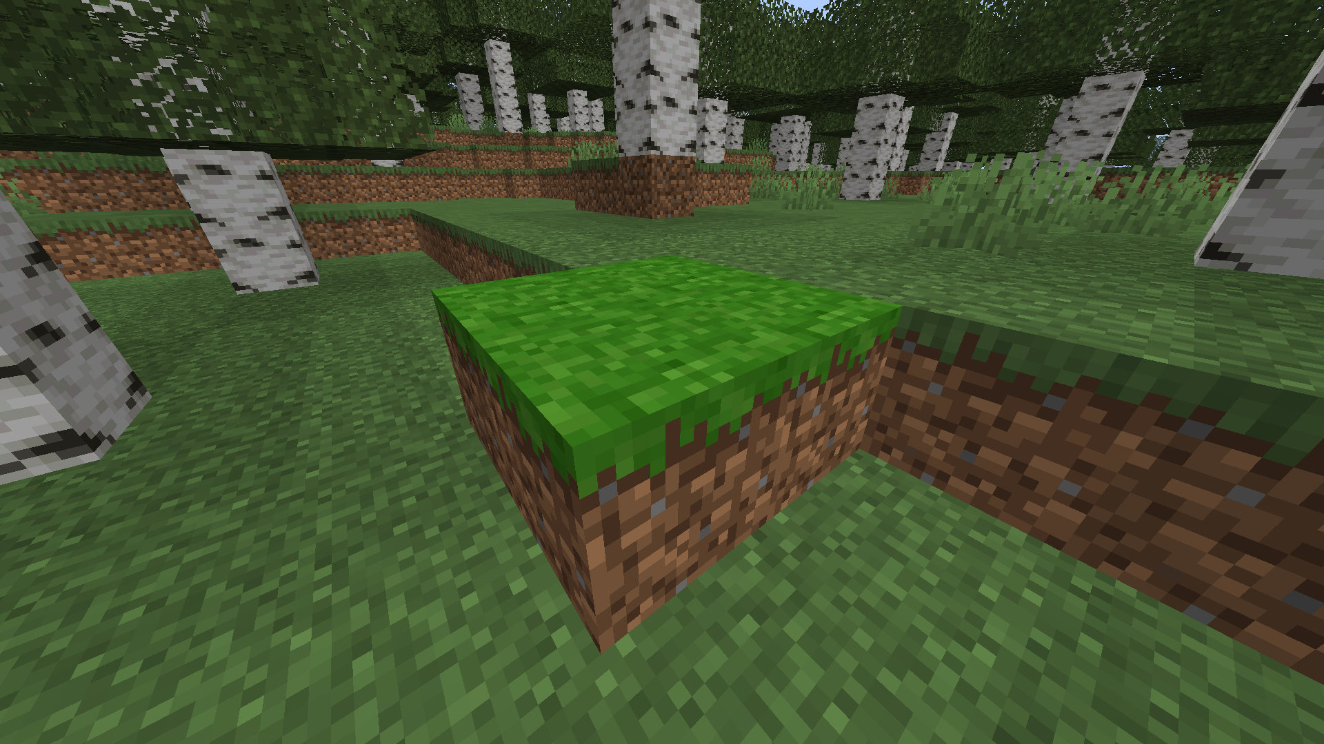 Alpha Grass