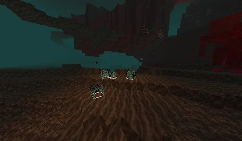 Some hollowed out soul fire in the nether