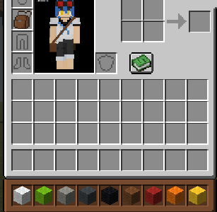 Player's Inventory